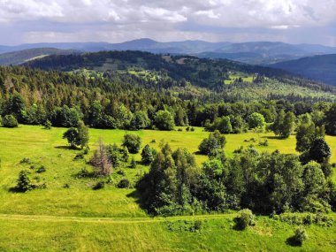 Polonya 'daki Beskid Dağları. Milowka yakınlarındaki Zywiec Beskids (Beskid Zywiecki) manzarası.