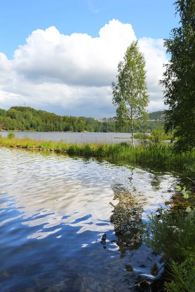 Letnia Refleksja Nad Jeziorem Norsjo Krajobraz Norwegii Piękne Miejsce — Zdjęcie stockowe