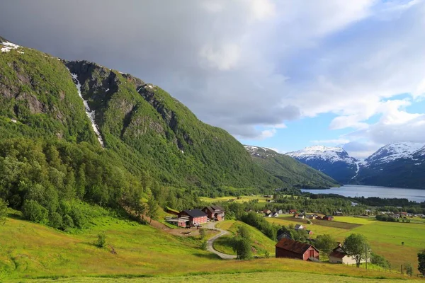 Roldal Noorwegen Landelijk Landschap Met Lupine Bloemen Regio Hordaland — Stockfoto