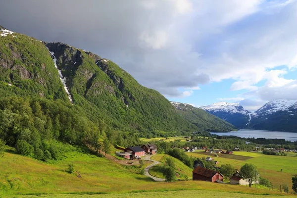 Roldal Noruega Paisagem Campo Com Flores Tremoço Região Hordaland — Fotografia de Stock