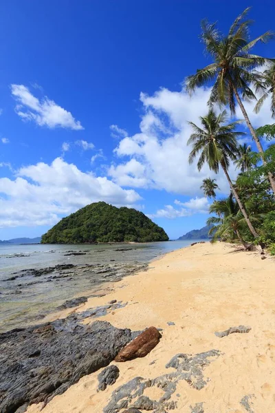 Vacker Strand Nido Palawan Island Filippinerna Sandstrand Med Lutande Palmer — Stockfoto