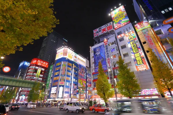 2016年12月1日 人们步行在日本东京秋叶原地区 秋叶原地区被称为 电城地区 它以电器商店和燕麦文化而闻名 — 图库照片