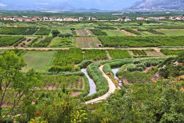 Γεωργία Στην Κροατία Αγροτικό Τοπίο Νερέτβα Δέλτα Κροατία Οπωρώνες Και — Φωτογραφία Αρχείου