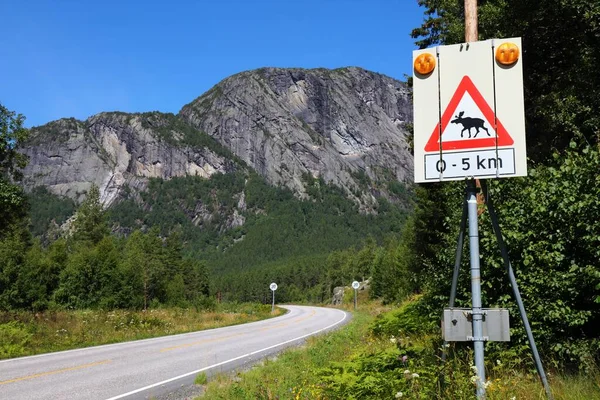 Elch Warnschild Einer Bergstraße Setesdal Tal Kreis Agder Norwegen — Stockfoto