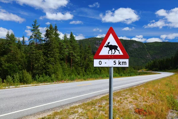 Señal Advertencia Camino Montaña Valle Setesdal Condado Agder Noruega —  Fotos de Stock