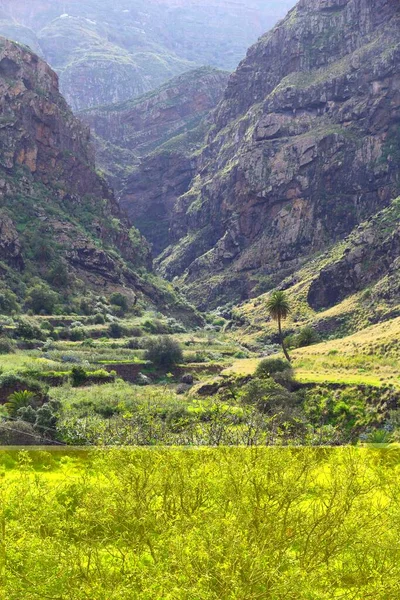 Krajobraz Gran Canarii Hiszpania Kanion Los Berrazales — Zdjęcie stockowe