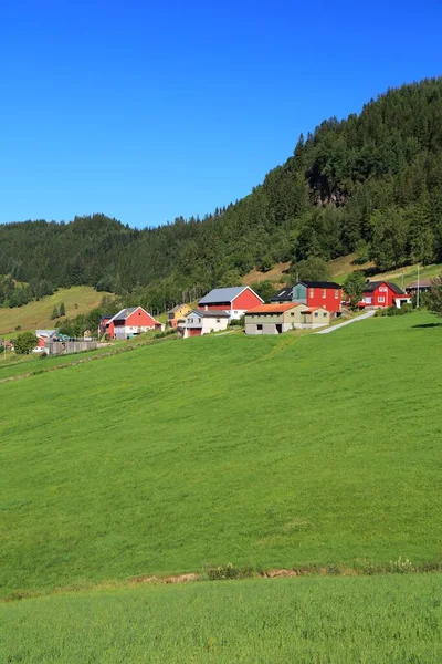 挪威的农场和牧场 Sunnfjord市 韦斯特兰县 地区的农业区 — 图库照片