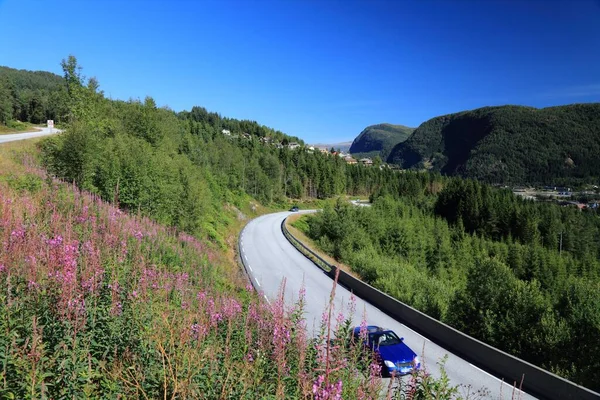 Norwegia Droga Górska Gminy Sunnfjord Prowadząca Miasta Forde Kwiaty Wodorostów — Zdjęcie stockowe