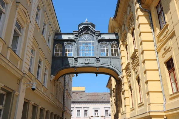 Město Szeged Maďarsku Město Okrese Csongrad Místní Samospráva Radniční Instituce — Stock fotografie