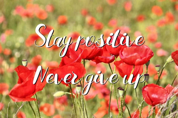 Stay Positive Never Give Motivational Quote Poster Success Motivation — Stock Photo, Image