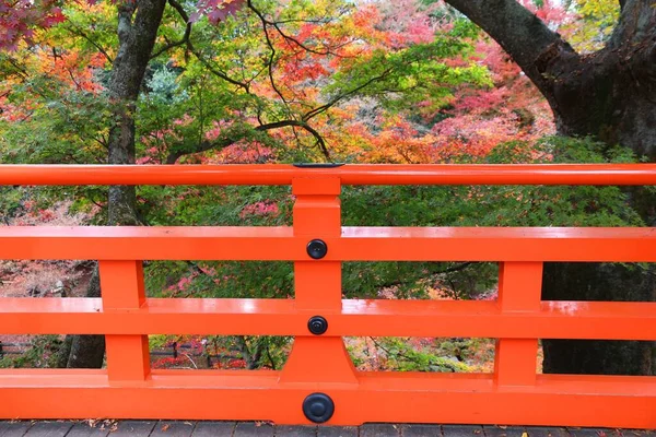 stock image Autumn in Japan - colorful leaves of Kitano Tenmangu Gardens in Kyoto.