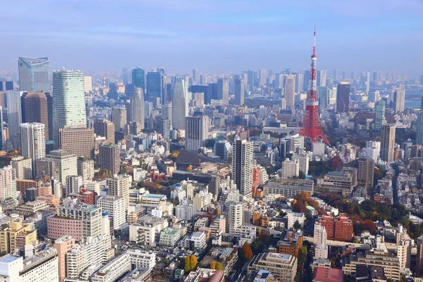 Tokyo Panorama Pohled Vzdušné Město Roppongi Minato Odděleními — Stock fotografie