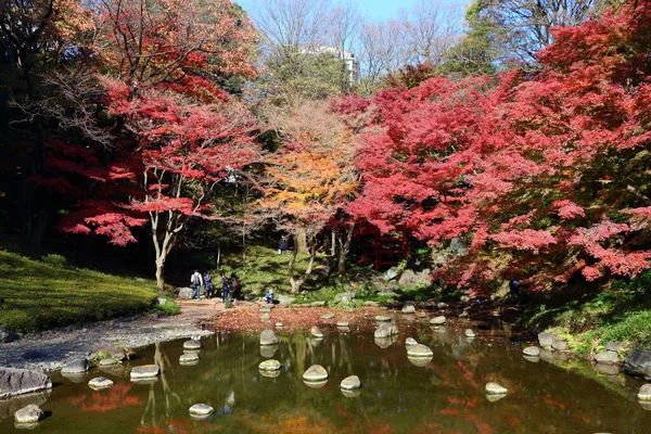 Токио Япония Ноября 2016 Года Осенью Люди Посещают Сад Коишикава — стоковое фото