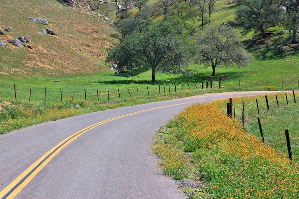 Kalifornische Landstraße Der Ländlichen Landschaft Von Tulare County — Stockfoto