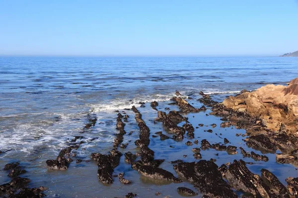 Paesaggio Californiano Usa Costa Shell Beach Pismo Beach — Foto Stock