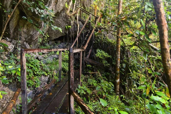 Sendero Senderismo Por Selva Tropical Isla Palawan Filipinas Selva Tropical — Foto de Stock