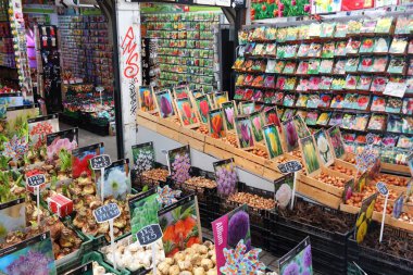 AMSTERDAM, NETHERLANDS - 8 Temmuz 2017: Amsterdam, Hollanda 'daki çiçek pazarında (Bloemenmarkt) tohumlar ve ampuller. Bloemenmarkt, Singel Kanalı 'nda yüzen ünlü çiçek pazarıdır..