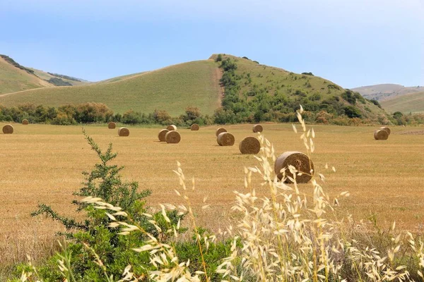 Erntezeit Italien Heuballen Auf Einem Feld Der Basilikata — Stockfoto