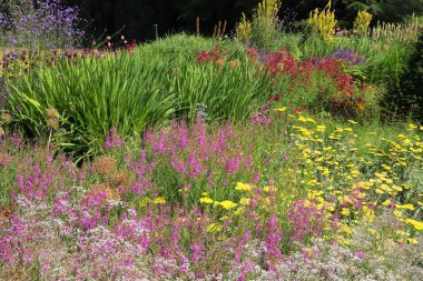 Kew Gardens, Londra 'da renkli çiçekli bitkiler.