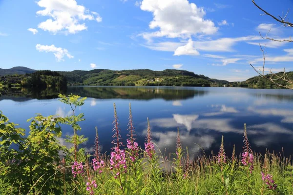 Lago Kalandsvatnet Norvegia Più Grande Lago Del Comune Bergen Fiori — Foto Stock