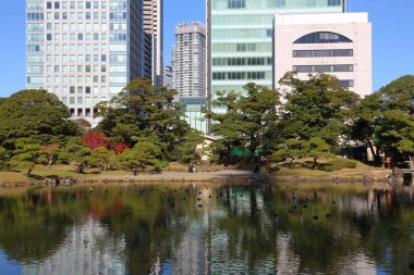 TOKYO, JAPONYA - 2 Aralık 2016: Tokyo, Japonya 'daki Kyu Shiba Rikyu Bahçesi' ni ziyaret edenler. Tokyo Japonya 'nın başkentidir. Metro bölgesinde 37,8 milyon insan yaşıyor..