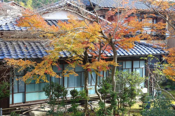 京都の住宅街の秋の色 一般家庭やもみじの紅葉 — ストック写真