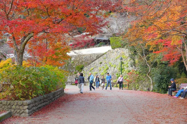 Minoh Japão Novembro 2016 Pessoas Visitam Meiji Mori Mino Quasi — Fotografia de Stock