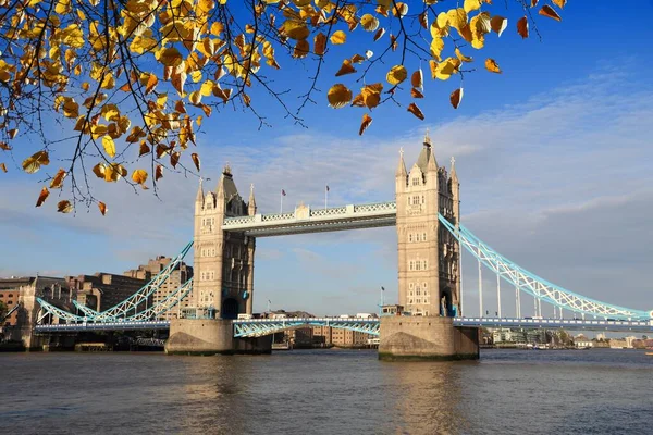 Tower Bridge Londres Royaume Uni Feuilles Automne — Photo