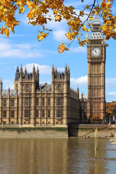 Big Ben Camerele Parlamentului Din Londra Marea Britanie Frunzele Toamnă — Fotografie, imagine de stoc