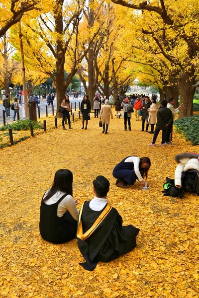Tokyo Japão Novembro 2016 Pessoas Celebram Folhagem Outono Avenida Ginkgo — Fotografia de Stock