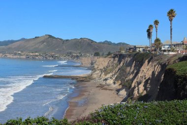 Kaliforniya manzarası, ABD. Spyglass Sahili 'nin (Pismo Sahili) sahil kayalıklarının fotoğrafı).