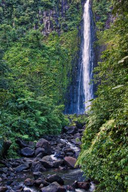 Guadeloupe Karayip adasında şelale. Carbet Şelalesi, Guadeloupe Ulusal Parkı 'nda şelale. Doğal mucize..
