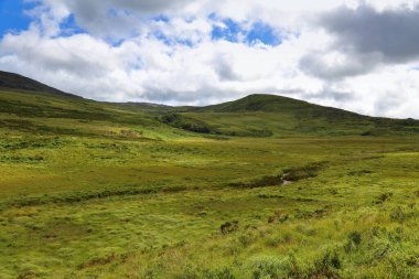 Torc Dağı manzaralı. Turba bataklığı manzarası. İrlanda 'nın Kerry ilçesindeki Killarney Milli Parkı' nda yaz doğası.