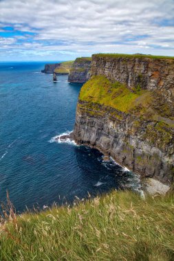 İrlanda 'nın Clare ilçesindeki Moher yaz manzarasının kayalıkları.