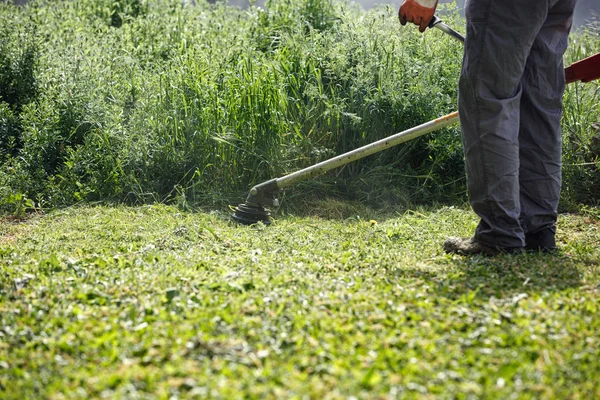 Pemangkas Memotong Rumput Pekerja Memotong Rumput Halaman Hijau — Stok Foto