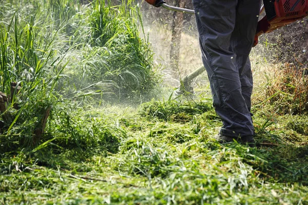Pemangkas Rumput Adalah Pekerja Laki Laki Yang Memotong Rumput Halaman — Stok Foto