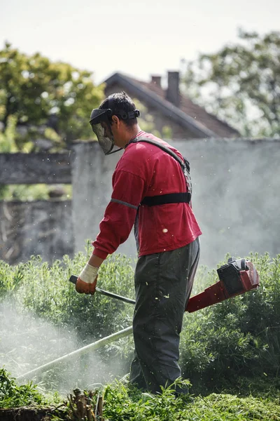 man work with string trimmer cutting the grass in the garden