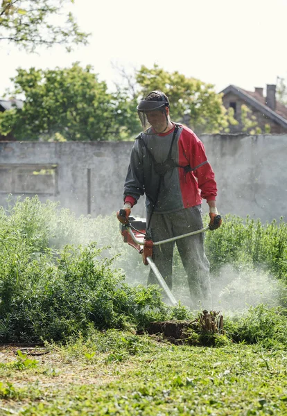 Anak Muda Bekerja Dengan Tali Pemangkas Memotong Rumput Kebun — Stok Foto