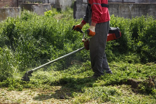 Pekerja Pemotong Rumput Memotong Rumput Latar Belakang Lapangan Hijau — Stok Foto