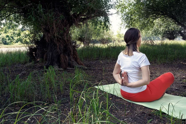 Meditasyon Yoga Konumda Arkadan Görünüm — Stok fotoğraf