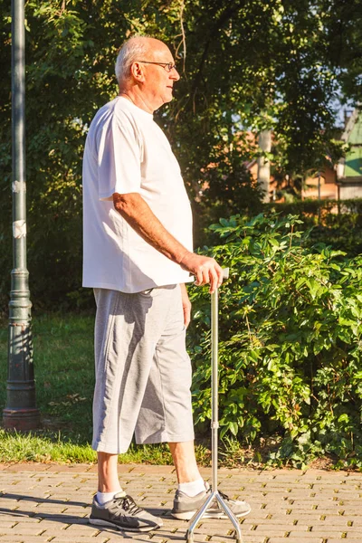 Elderly man with his walking stick in park