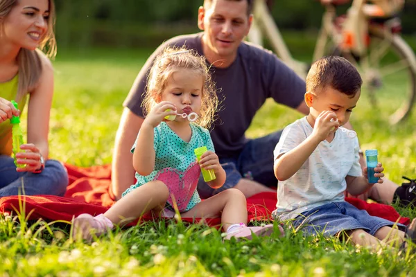 Lindos Niños Soplar Burbujas Jabón Aire Libre Familia Feliz Parque —  Fotos de Stock