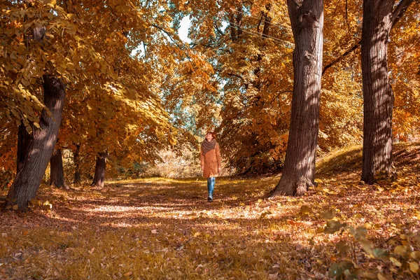 Těší Podzim Mladá Zrzka Žena Bavit Podzimním Lese — Stock fotografie