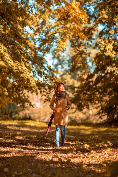 Mladá Žena Červeným Deštníkem Podzimní Městský Park Krásný Podzim Čas — Stock fotografie