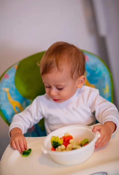 Adorabile Bambino Ragazzo Mangiare Broccoli Casa — Foto Stock