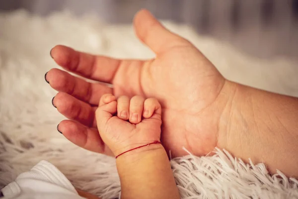 Söt Liten Baby Hand Mamma Palm — Stockfoto