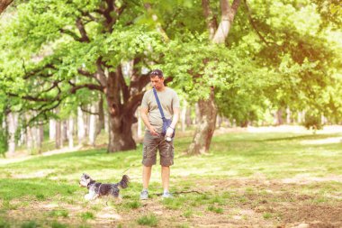 Açık havada yürürken köpeklerle eğlenen köpek gezdirici