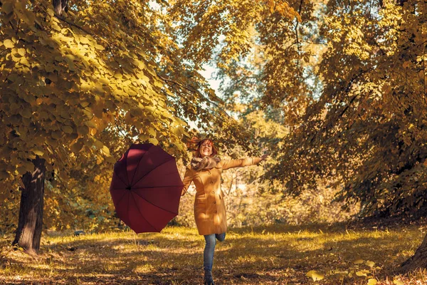 Διασκέδαση στο δάσος του φθινοπώρου-κοκκινομάλλα κορίτσι με ομπρέλα απολαμβάνοντας στη φύση Royalty Free Φωτογραφίες Αρχείου