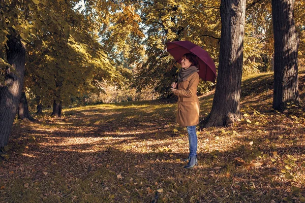 Πτώση. Στο φθινοπωρινό πάρκο. Τα δέντρα και τα φύλλα στις ηλιακές ακτίνες. κοκκινομάλλα κορίτσι με ομπρέλα απολαμβάνοντας στη φύση — Φωτογραφία Αρχείου