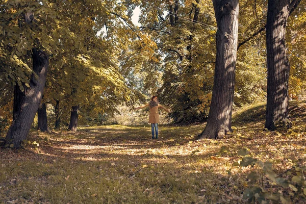 Πτώση. Στο φθινοπωρινό πάρκο. Τα δέντρα και τα φύλλα στις ηλιακές ακτίνες. κοκκινομάλλα γυναίκα έχουν τη διασκέδαση στο δάσος του φθινοπώρου Εικόνα Αρχείου